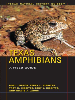cover image of Texas Amphibians